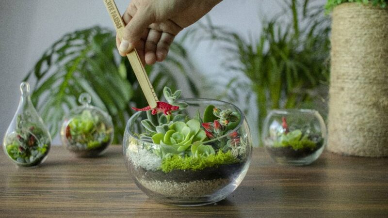 DIY Terrarium Kit for Office Desk Gift: Bring Nature to Work