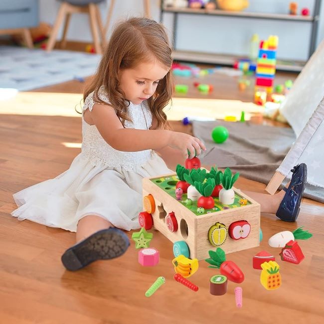KMTJT Montessori Wooden Toy – Shape Sorting Educational Toy for Toddlers 1–3