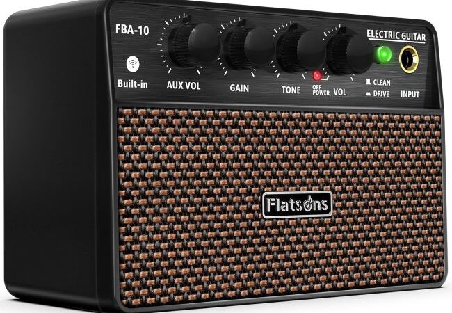 Flatsons FBA-10 mini rechargeable guitar amplifier used in Michigan