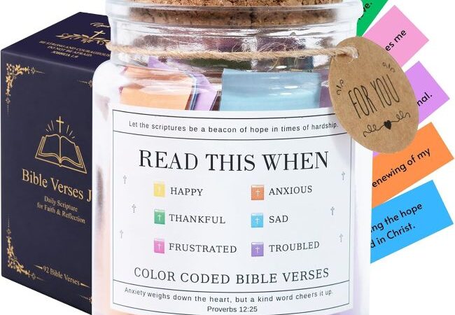 SOUTHLISA Bible Verses Jar inspirational gift